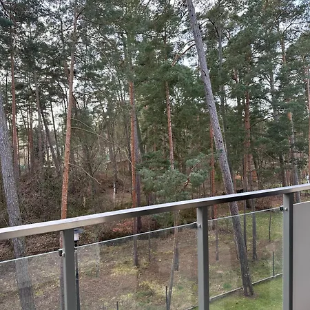 Sosnowy Nadmorski Zakatek Blisko Plazy Z Parkingiem